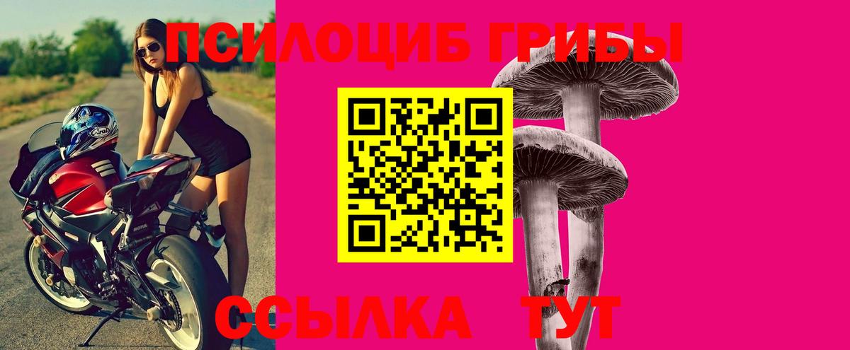 Галлюциногенные грибы GOLDEN TEACHER  Галлюциногенные грибы GOLDEN TEACHER  Вход с VPN  Ишимбай 